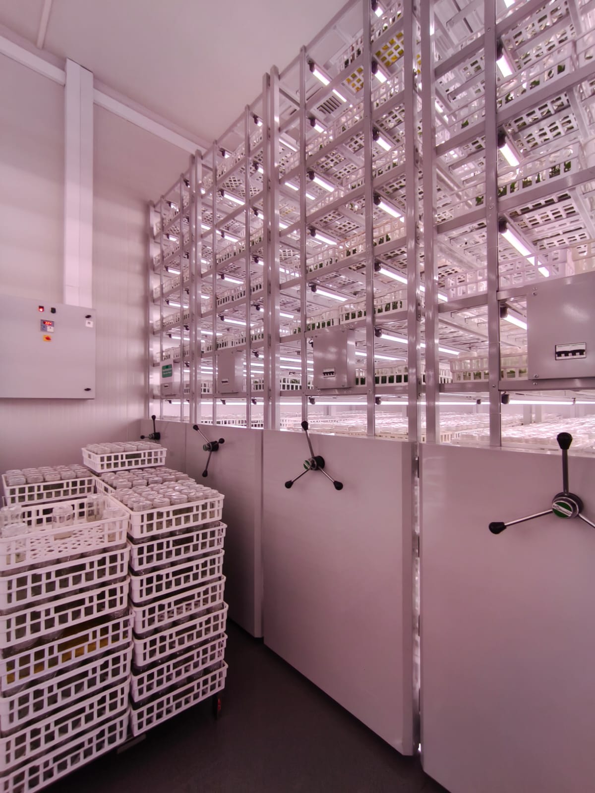 Cold Storage Facility